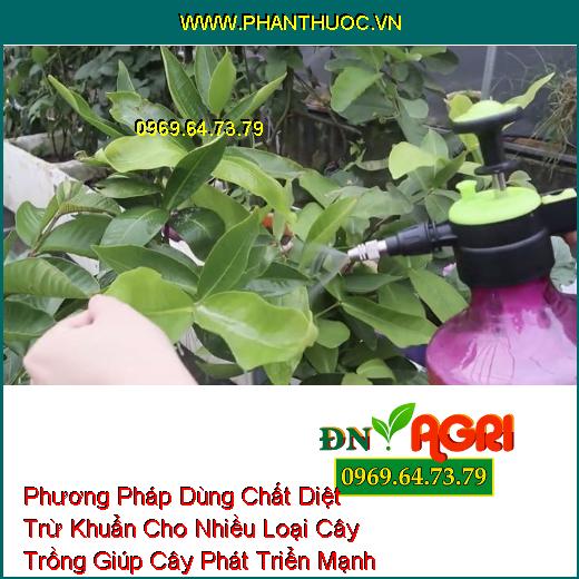 Phương Pháp Dùng Chất Diệt Trừ Khuẩn Cho Nhiều Loại Cây Trồng Giúp Cây Phát Triển Mạnh Khỏe