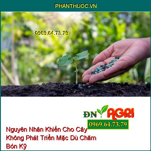 Nguyên Nhân Khiến Cho Cây Không Phát Triển Mặc Dù Chăm Bón Kỹ